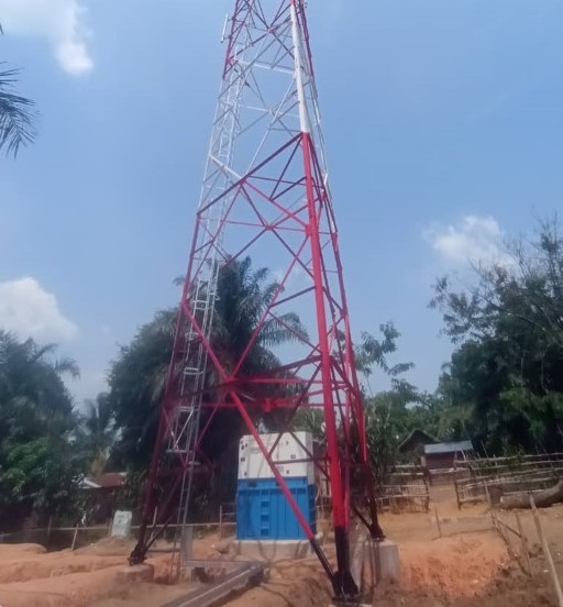 Image de l'érection et de la peinture du pylône